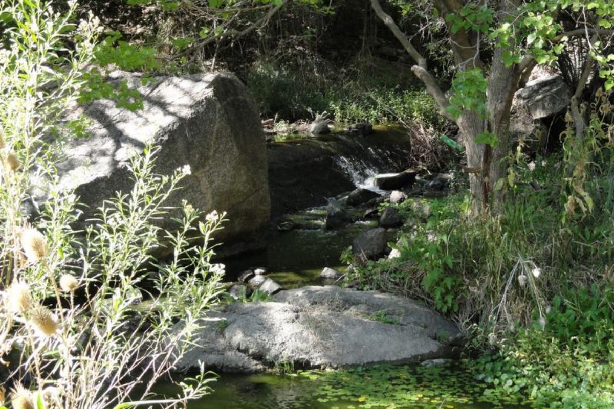 Quebrada de los cóndores